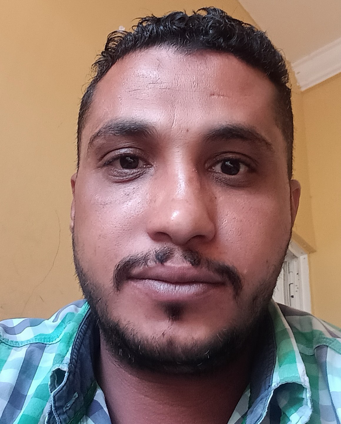 محمود عبد الفتاح ناصر تونى