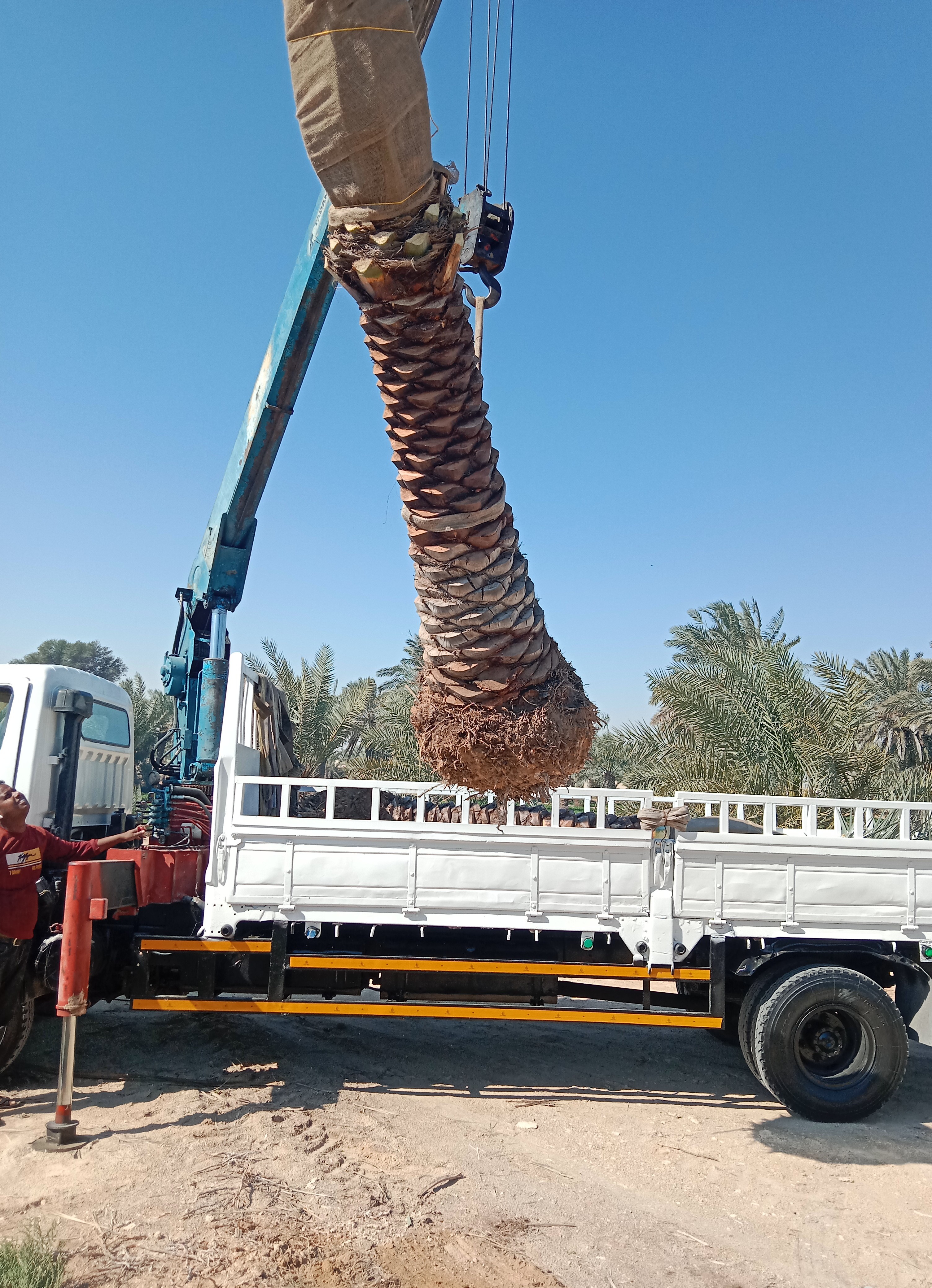 Yasin omor - Portfolio 2