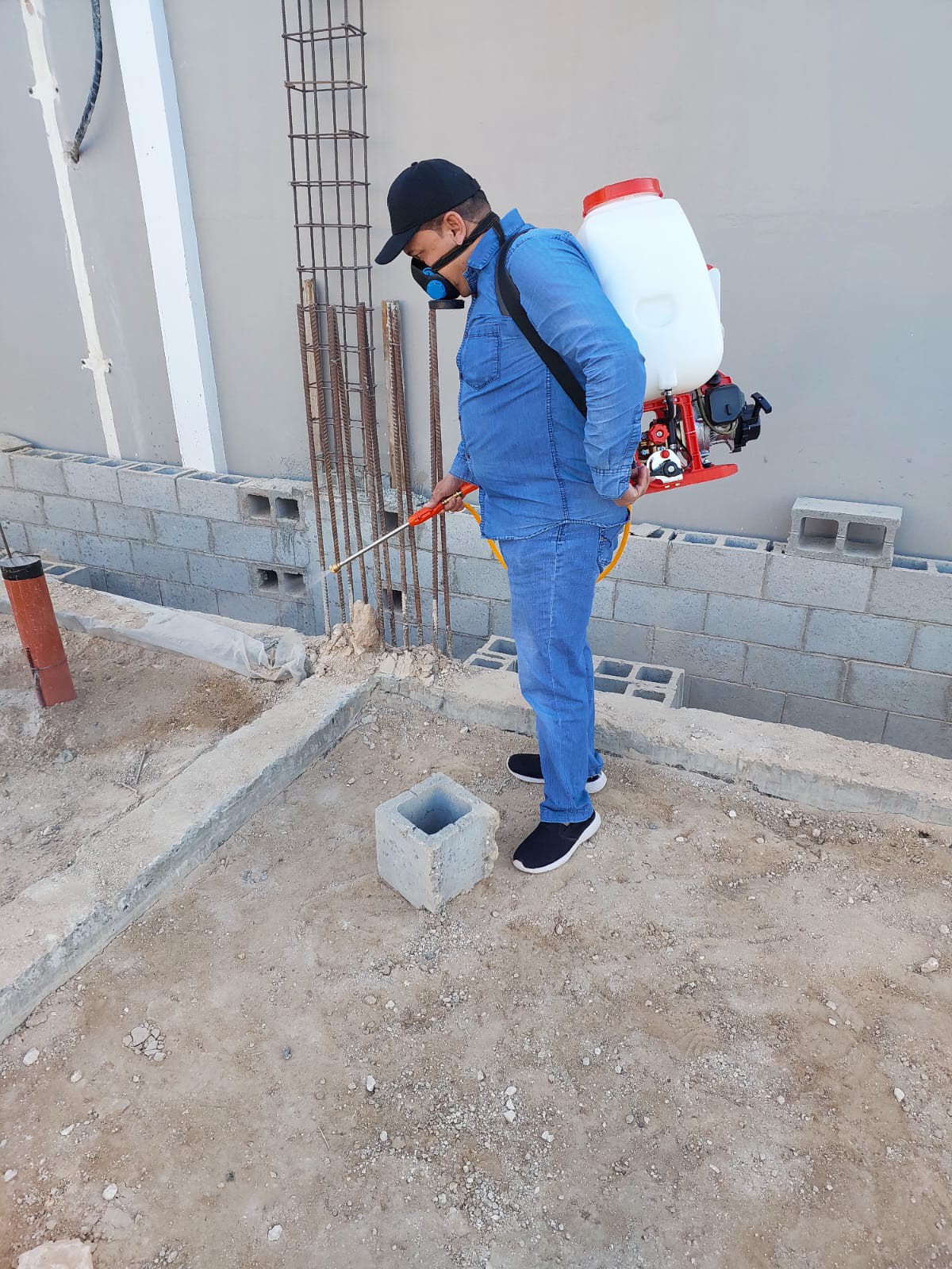 جولد كلين لمكافحة الحشرات - Portfolio 13