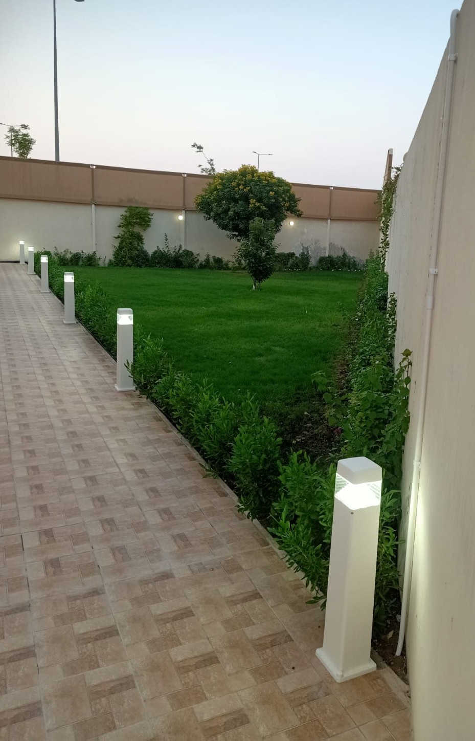 Emad Zahran - الأعمال السابقة 3