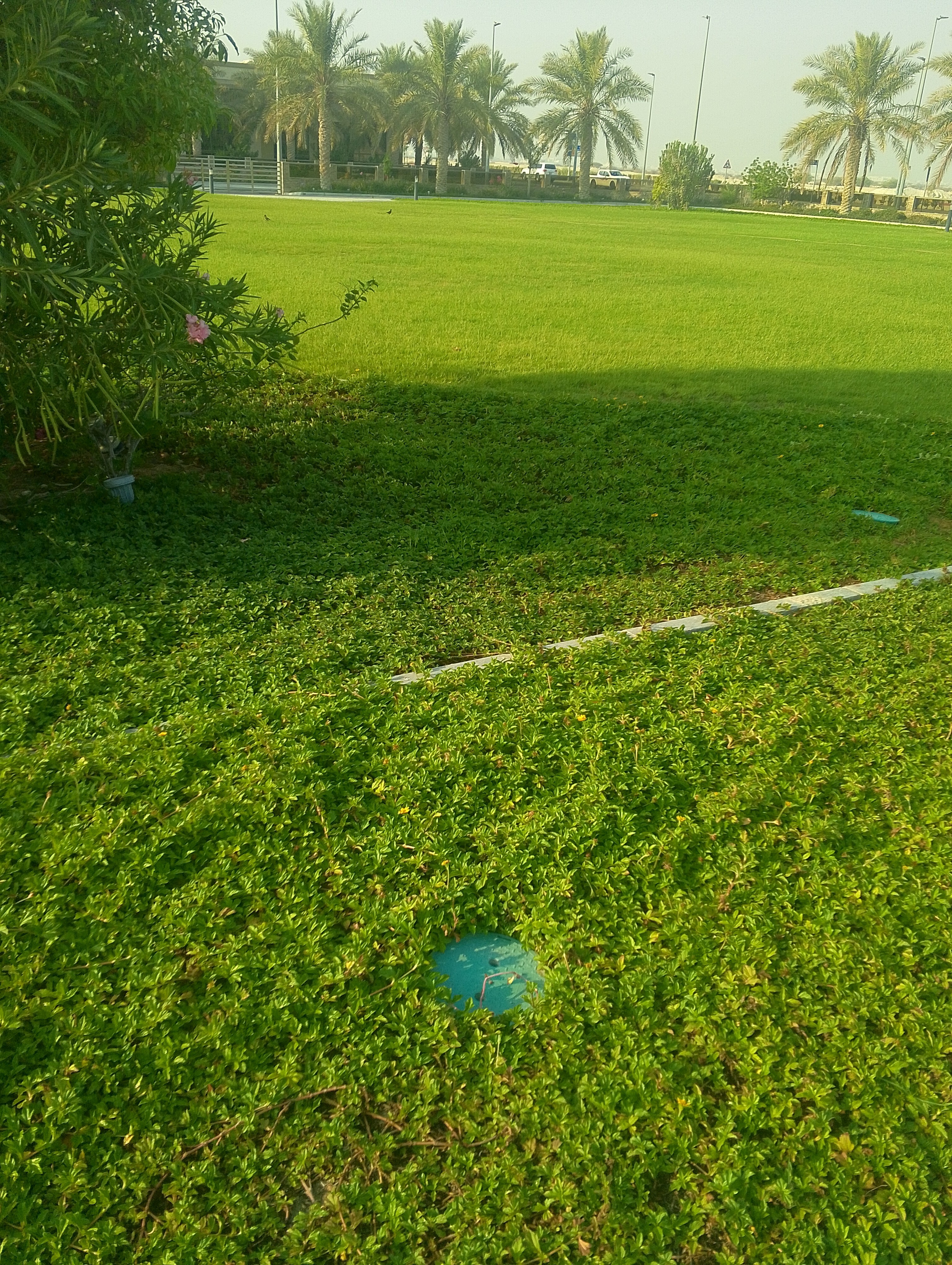 ابوفارس - الأعمال السابقة 3