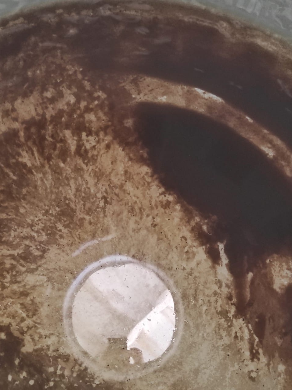 بوبكر بلغيث - الأعمال السابقة 7