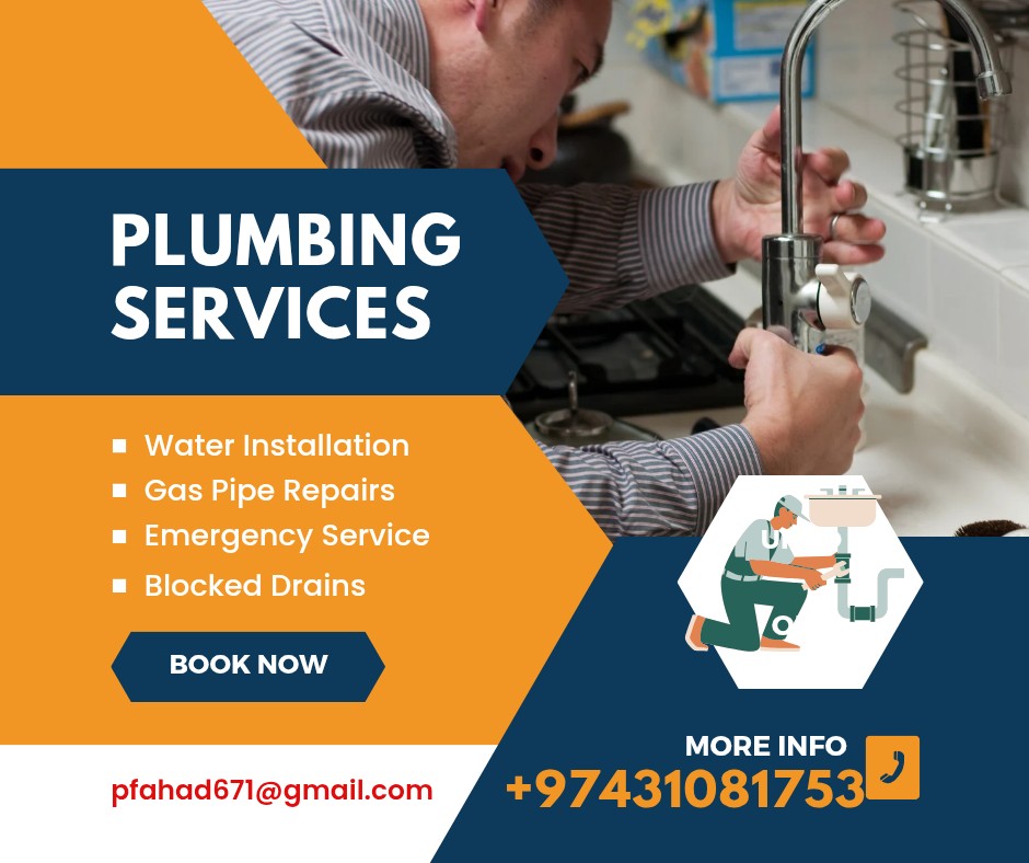 the plumber - Portfolio 3