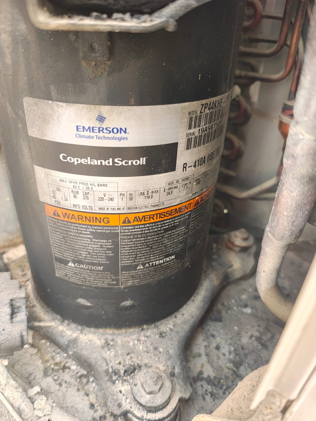 SADDAM HOSSAIN - الأعمال السابقة 5