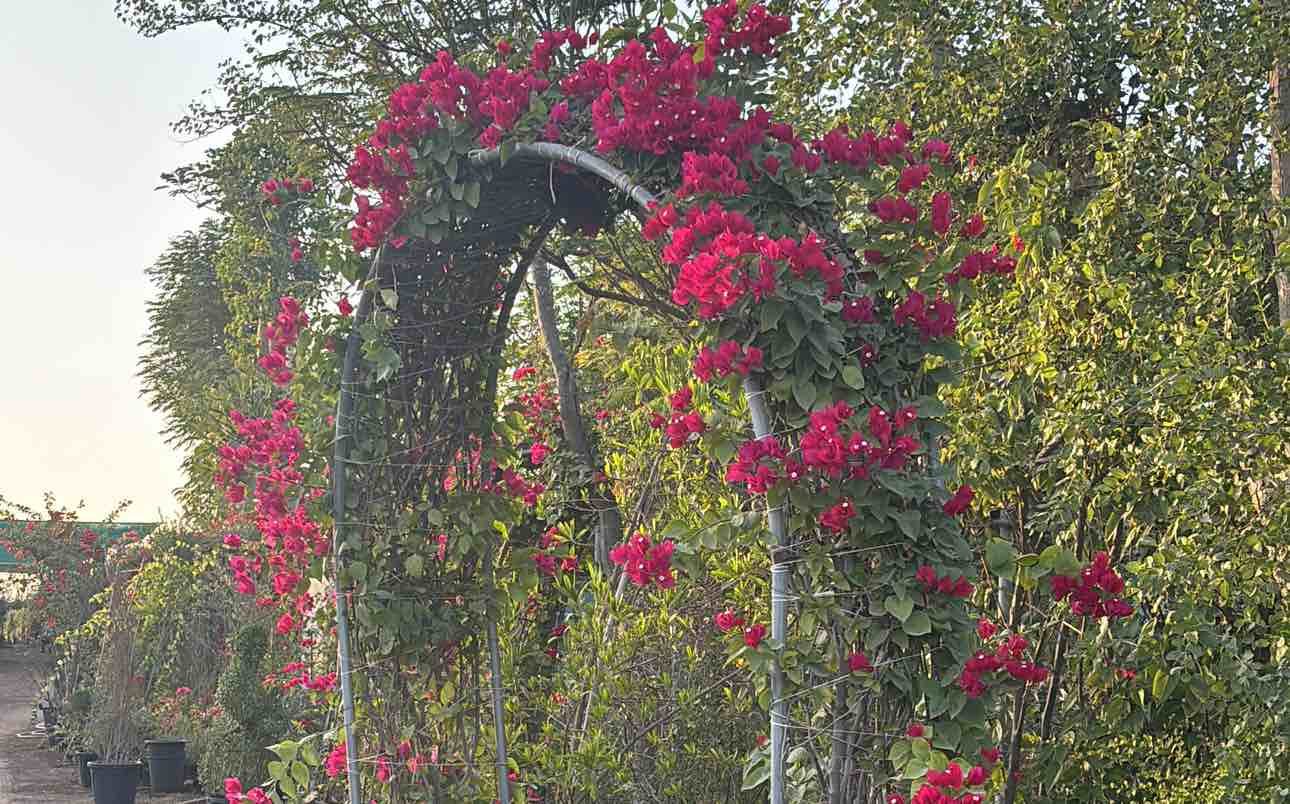 احمد - الأعمال السابقة 3