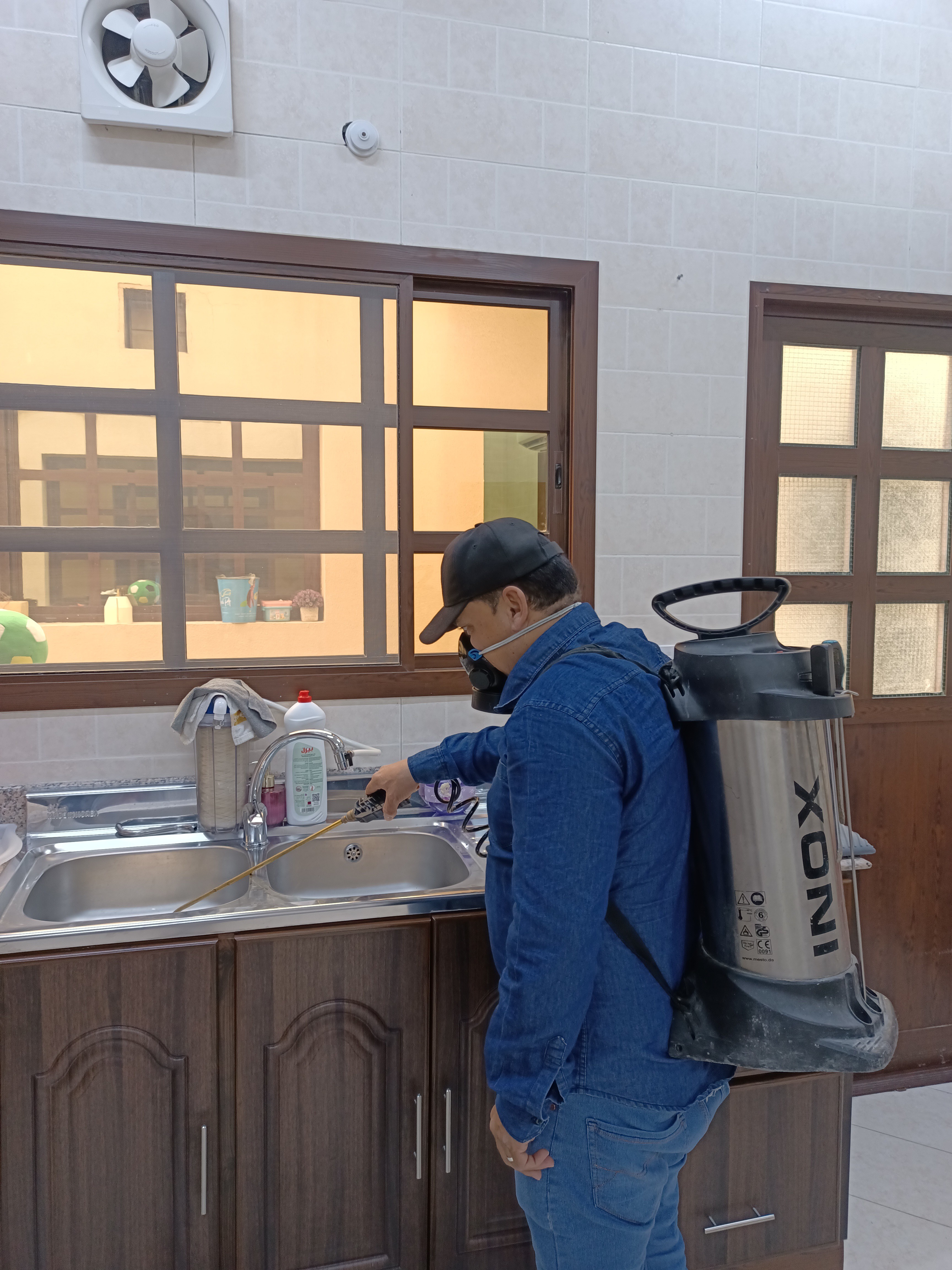 جولد كلين لمكافحة الحشرات - Portfolio 2