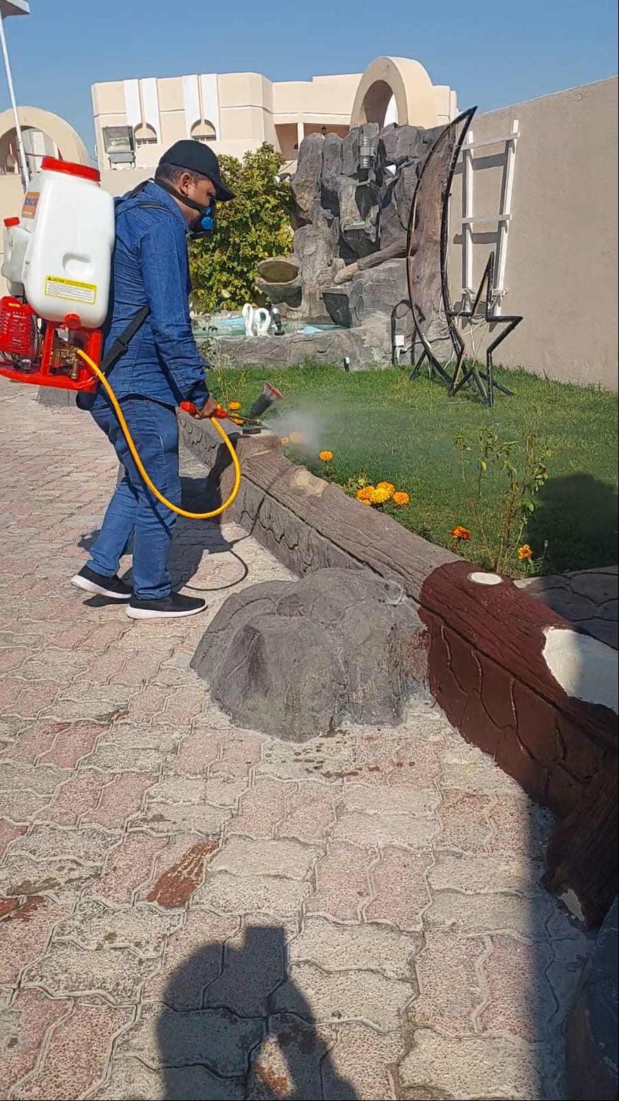 جولد كلين لمكافحة الحشرات - Portfolio 11