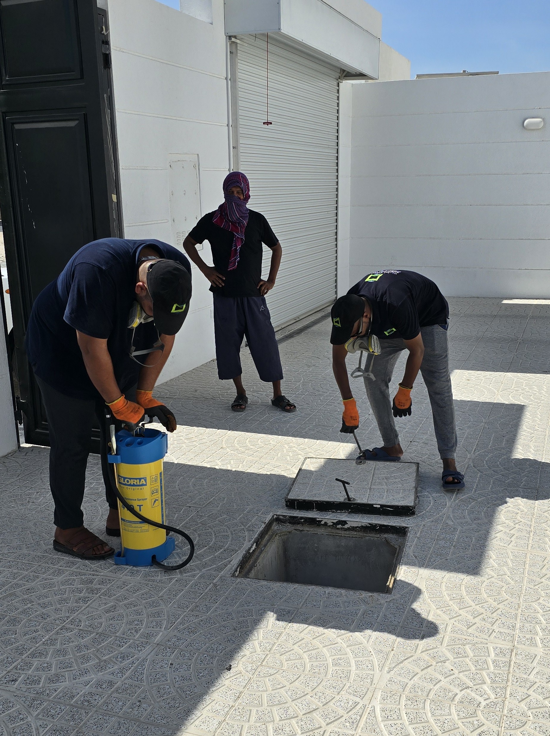 ادفيون لمكافحة الحشرات - الأعمال السابقة 1