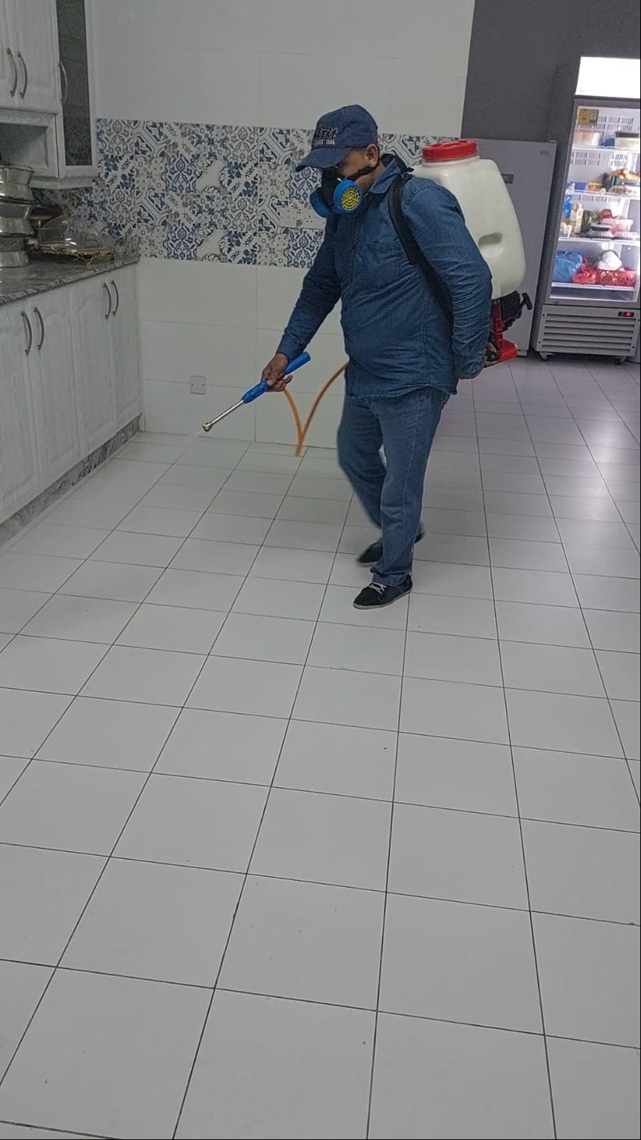 جولد كلين لمكافحة الحشرات - Portfolio 7