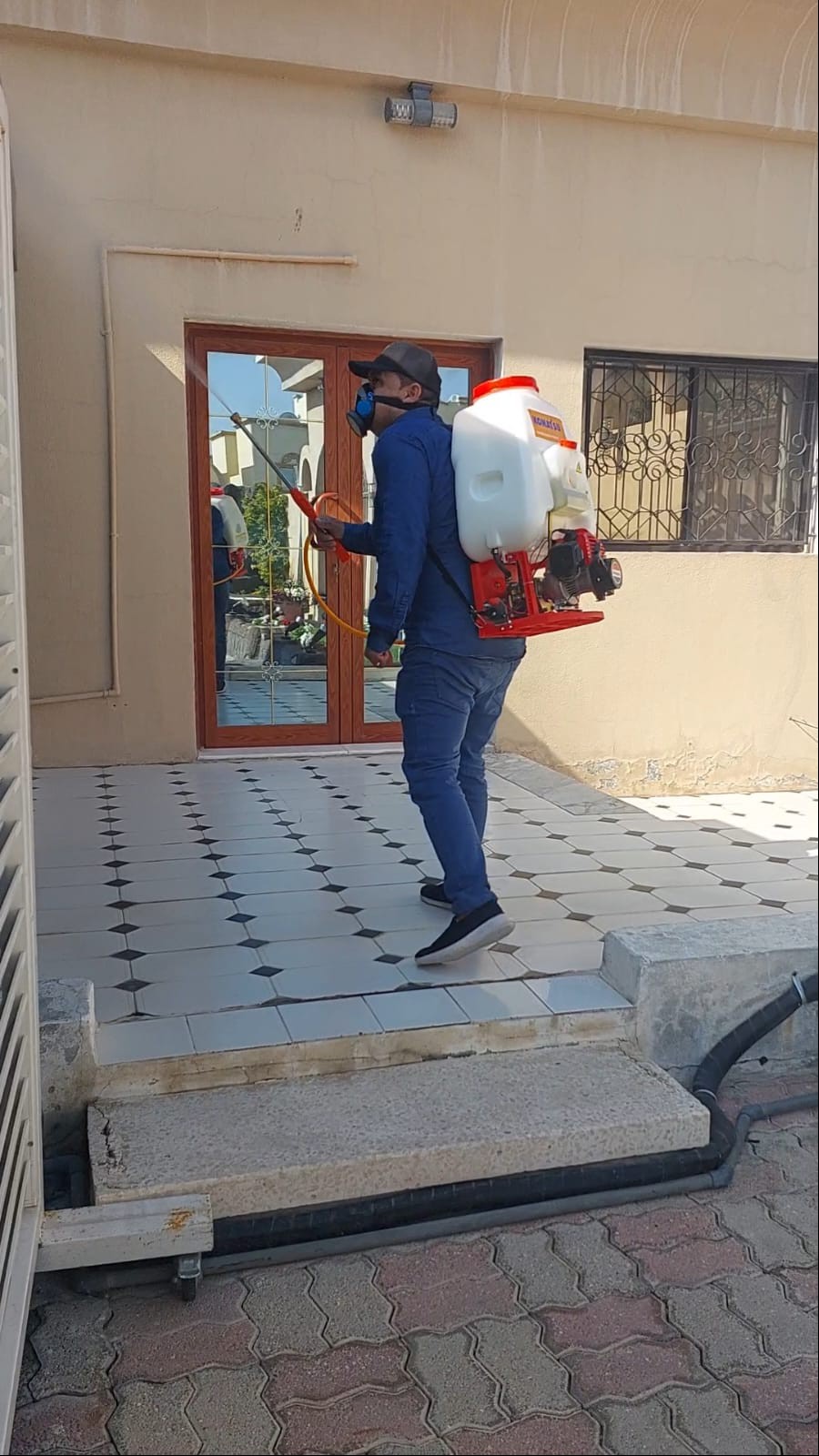 جولد كلين لمكافحة الحشرات - Portfolio 12