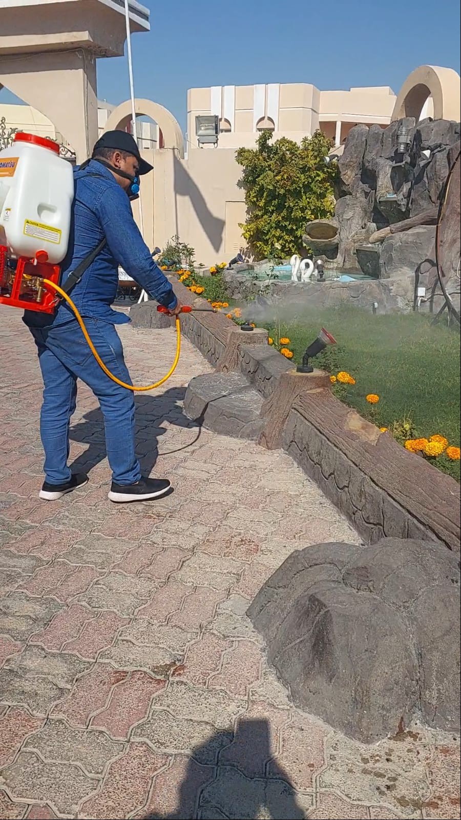 جولد كلين لمكافحة الحشرات - Portfolio 10