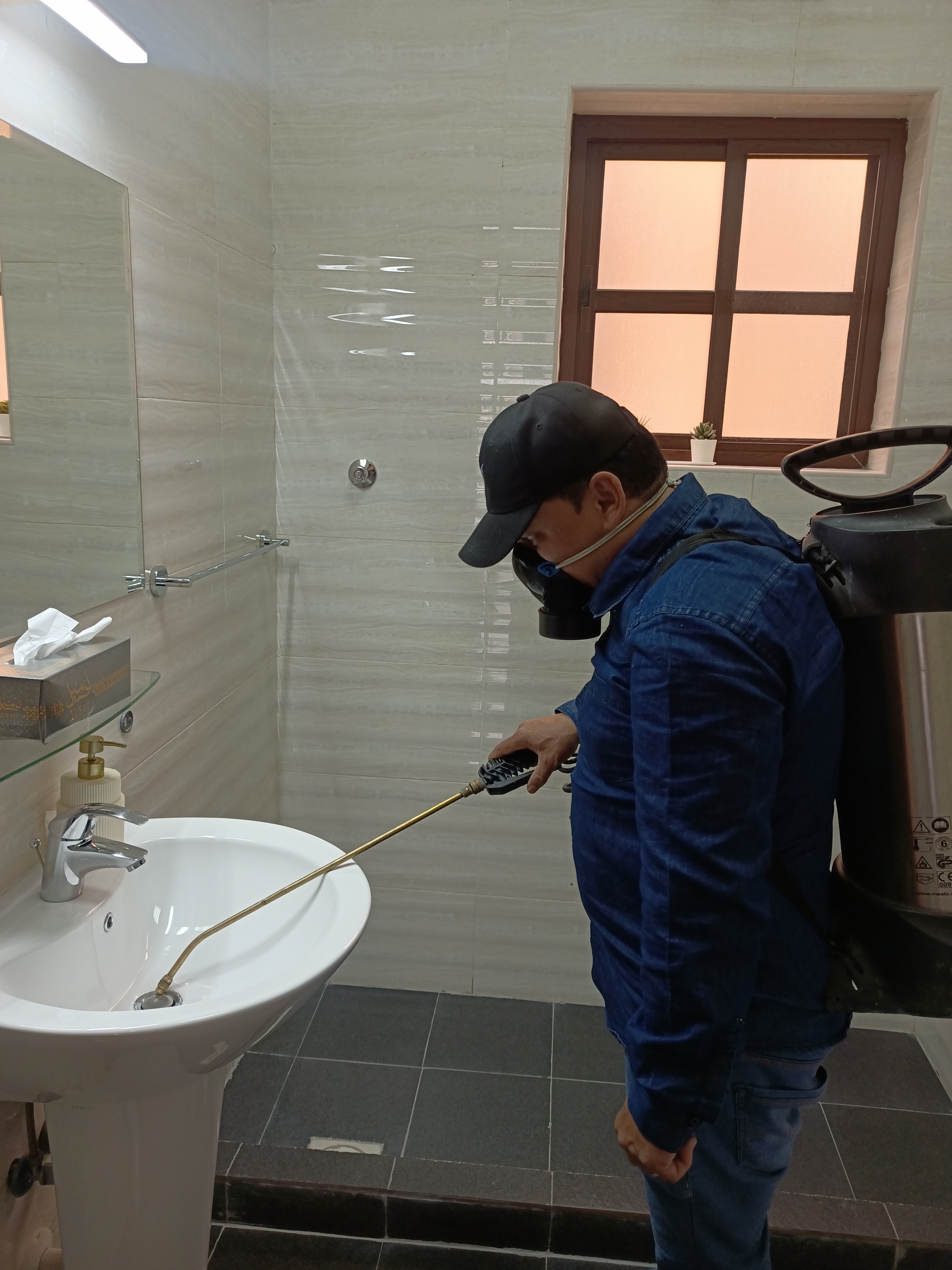 جولد كلين لمكافحة الحشرات - Portfolio 5