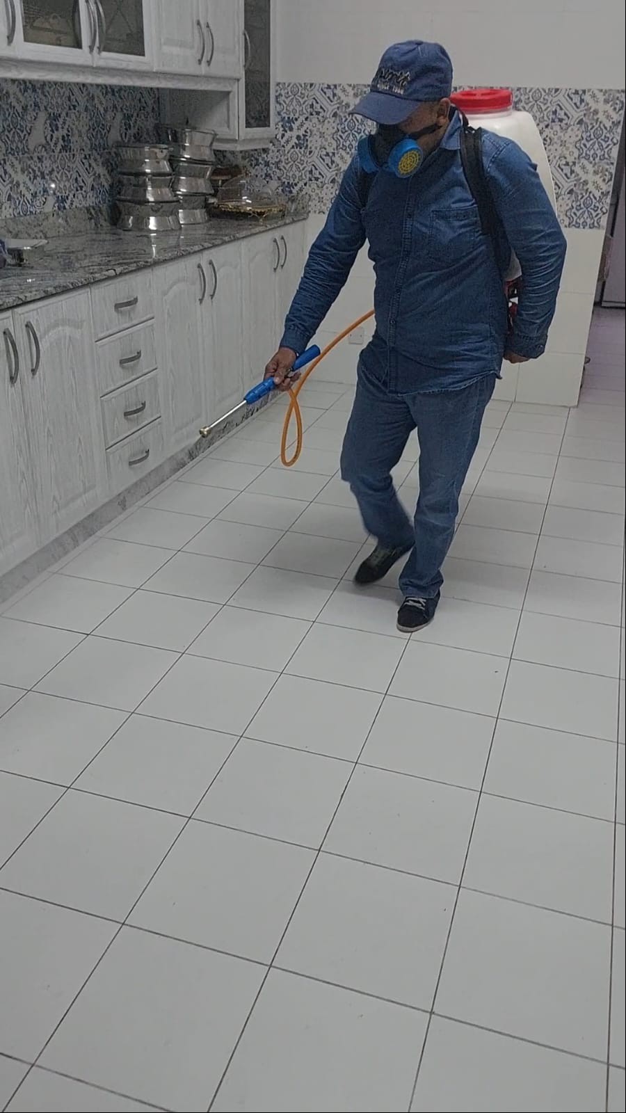 جولد كلين لمكافحة الحشرات - Portfolio 6