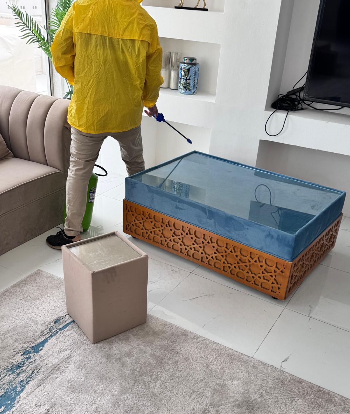 الفتاك لصيانة المبانى و مكافحة الحشرات - Portfolio 2