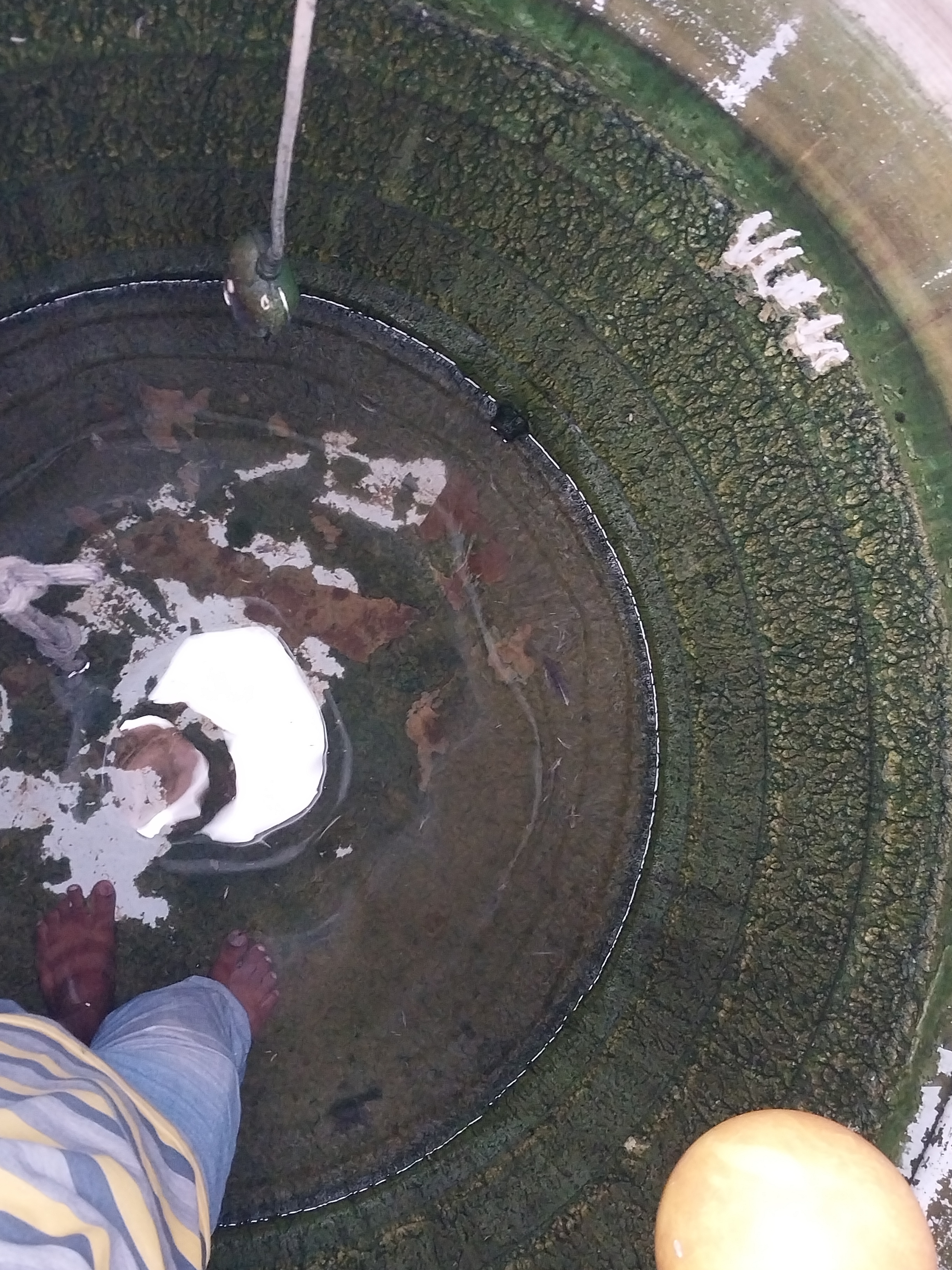 RAGAB ALI - الأعمال السابقة 4