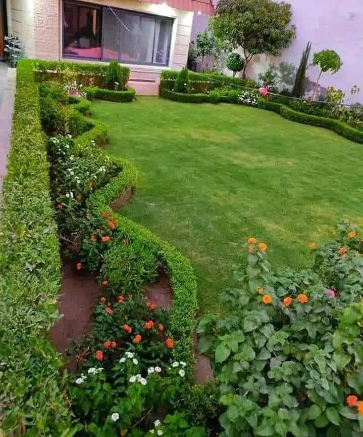 Emad Zahran - الأعمال السابقة 6