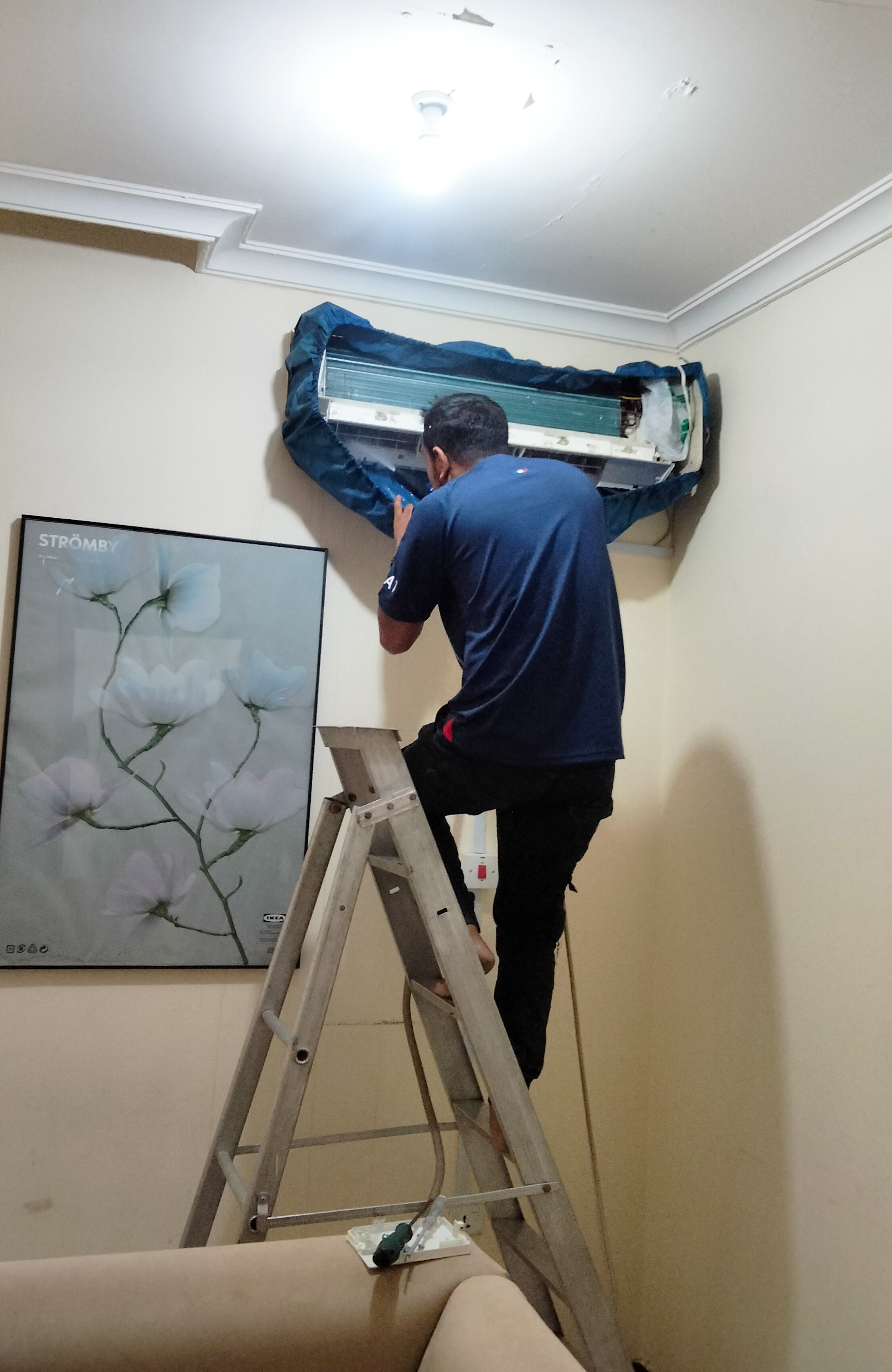 MD Shohan - الأعمال السابقة 1