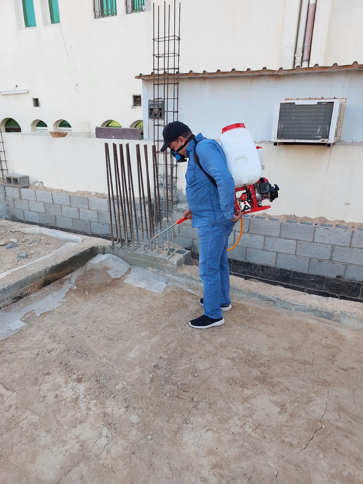 جولد كلين لمكافحة الحشرات - Portfolio 14