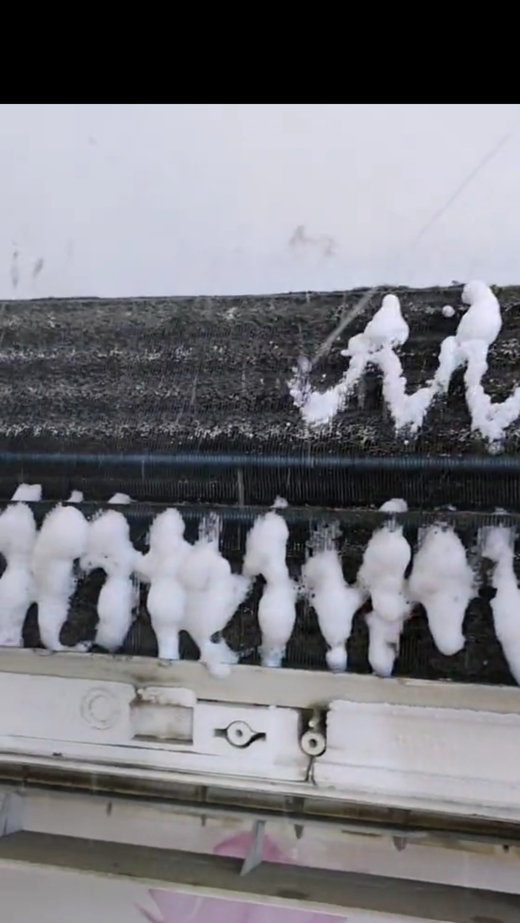 خالد - Portfolio 4