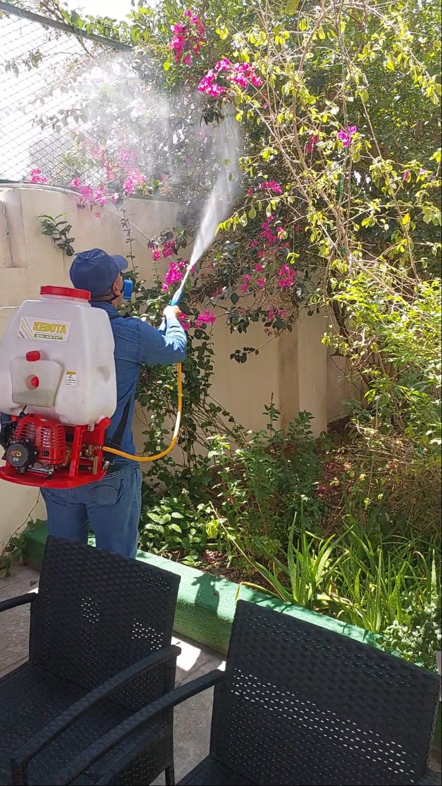 جولد كلين لمكافحة الحشرات - Portfolio 9