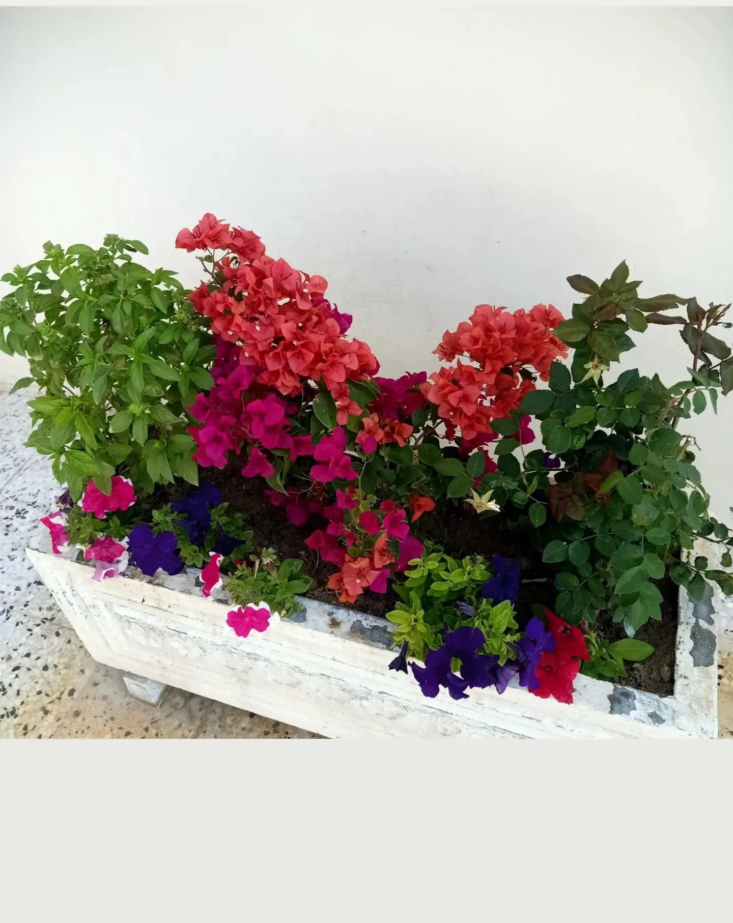 Emad Zahran - الأعمال السابقة 4