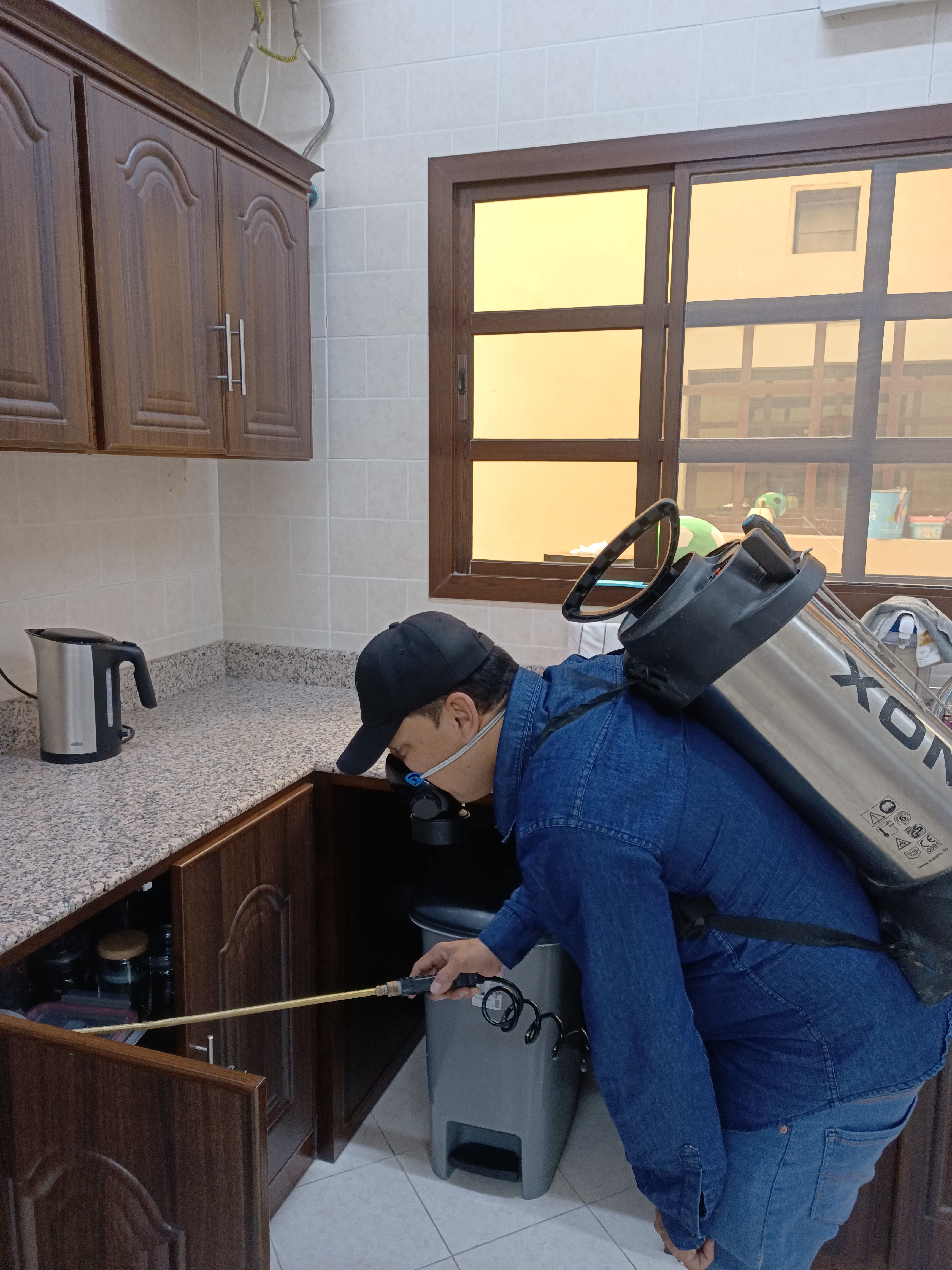 جولد كلين لمكافحة الحشرات - Portfolio 1