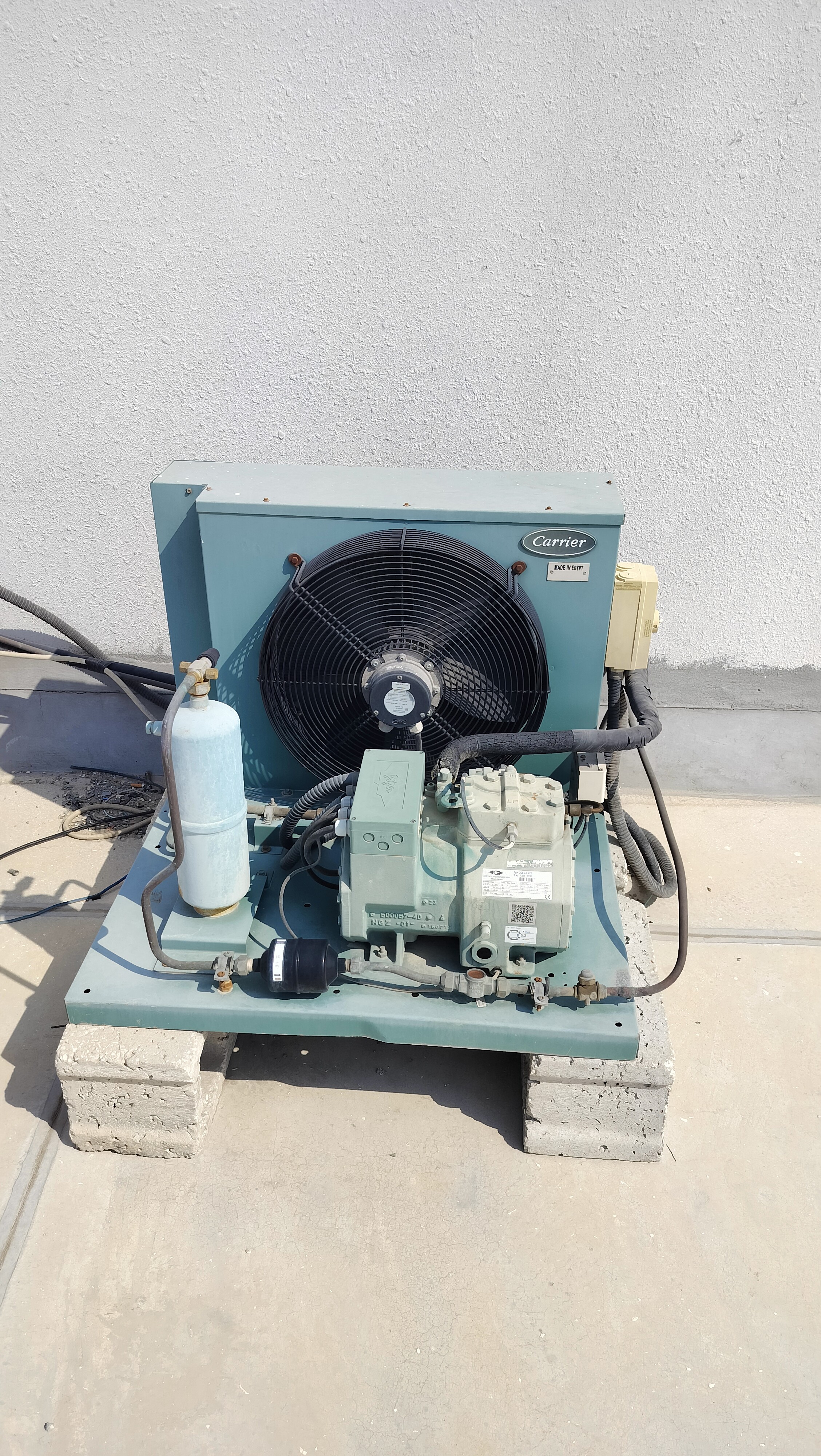 QASIM ALI - Portfolio 5