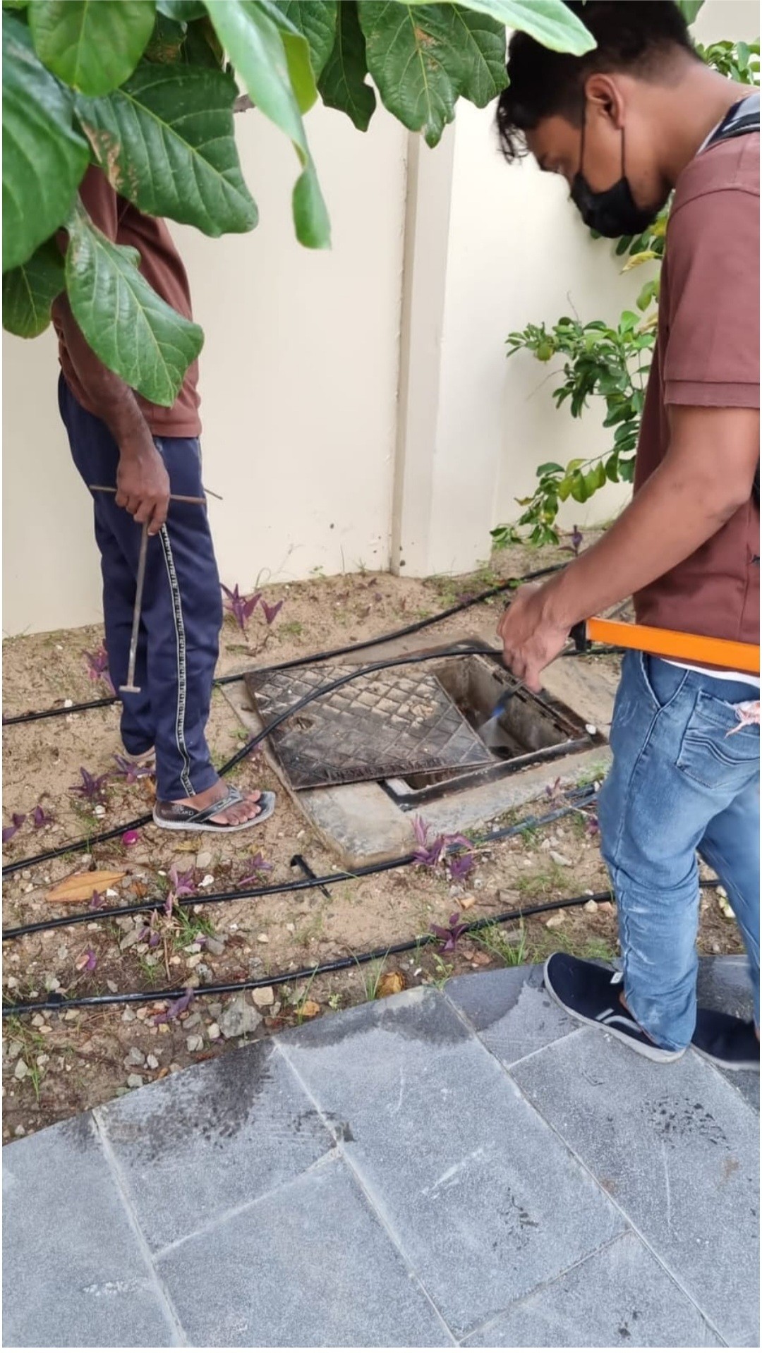 بيت العمر للخدمات ومكافحة الحشرات - الأعمال السابقة 1